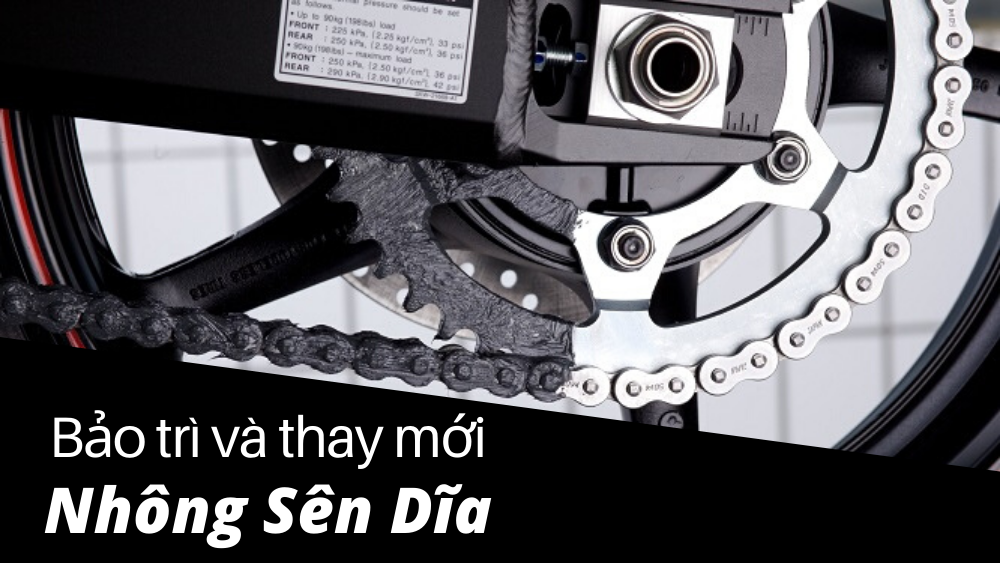 Bảo trì và thay thế nhông sên dĩa