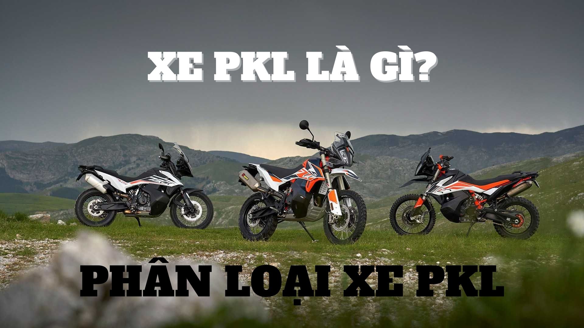 Các loại xe PKL