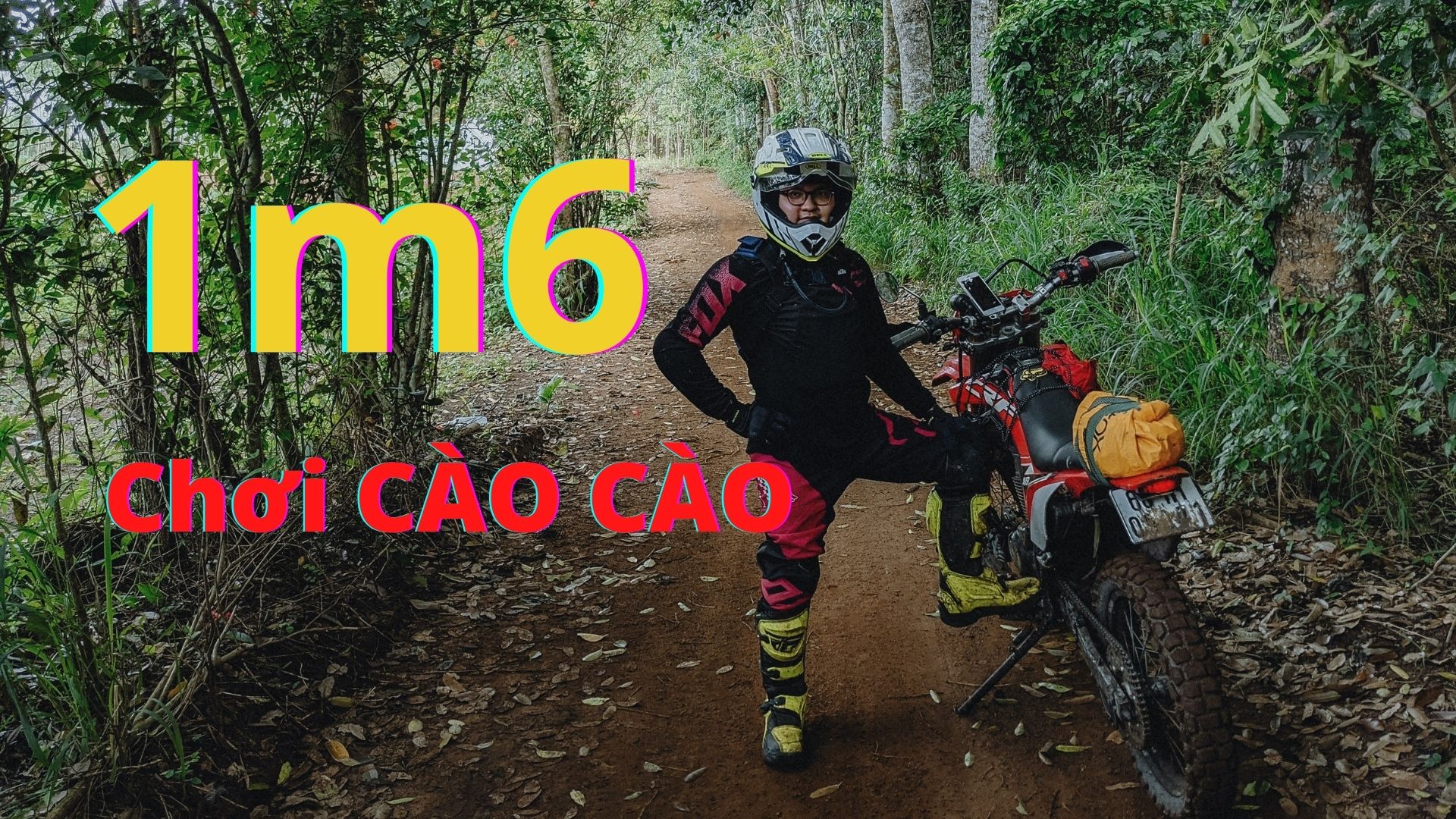 Cao bao nhiêu thì chạy được cào cào chống hai chân?