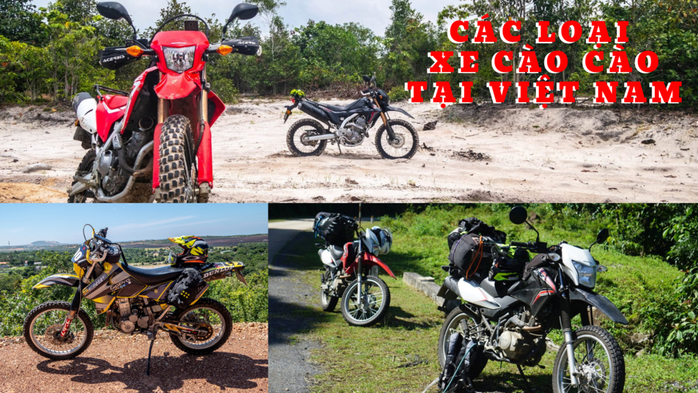 Xe cào cào tại Việt Nam
