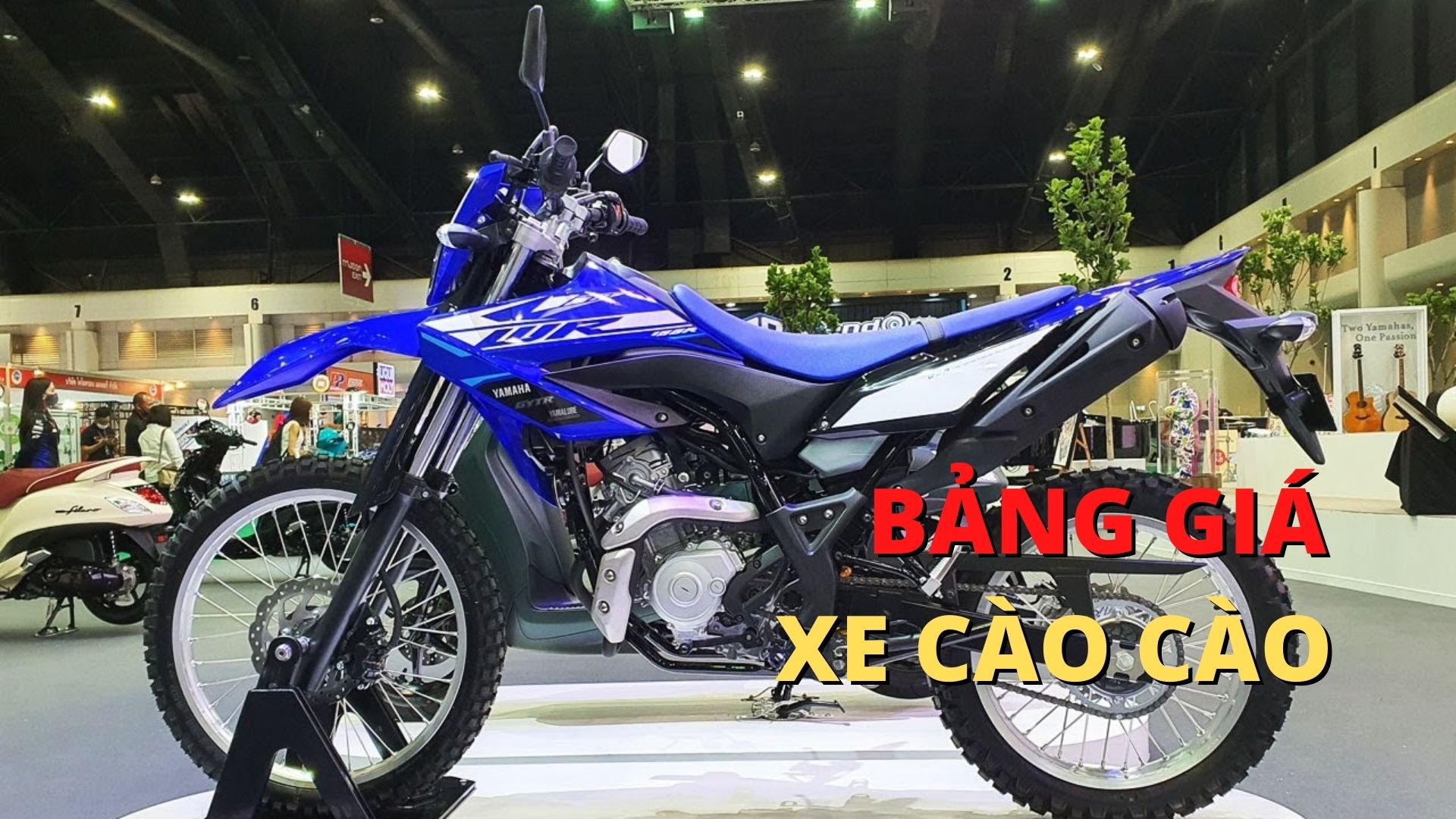 Giá Bán Các Mẫu Xe Cào Cào Tại Việt Nam