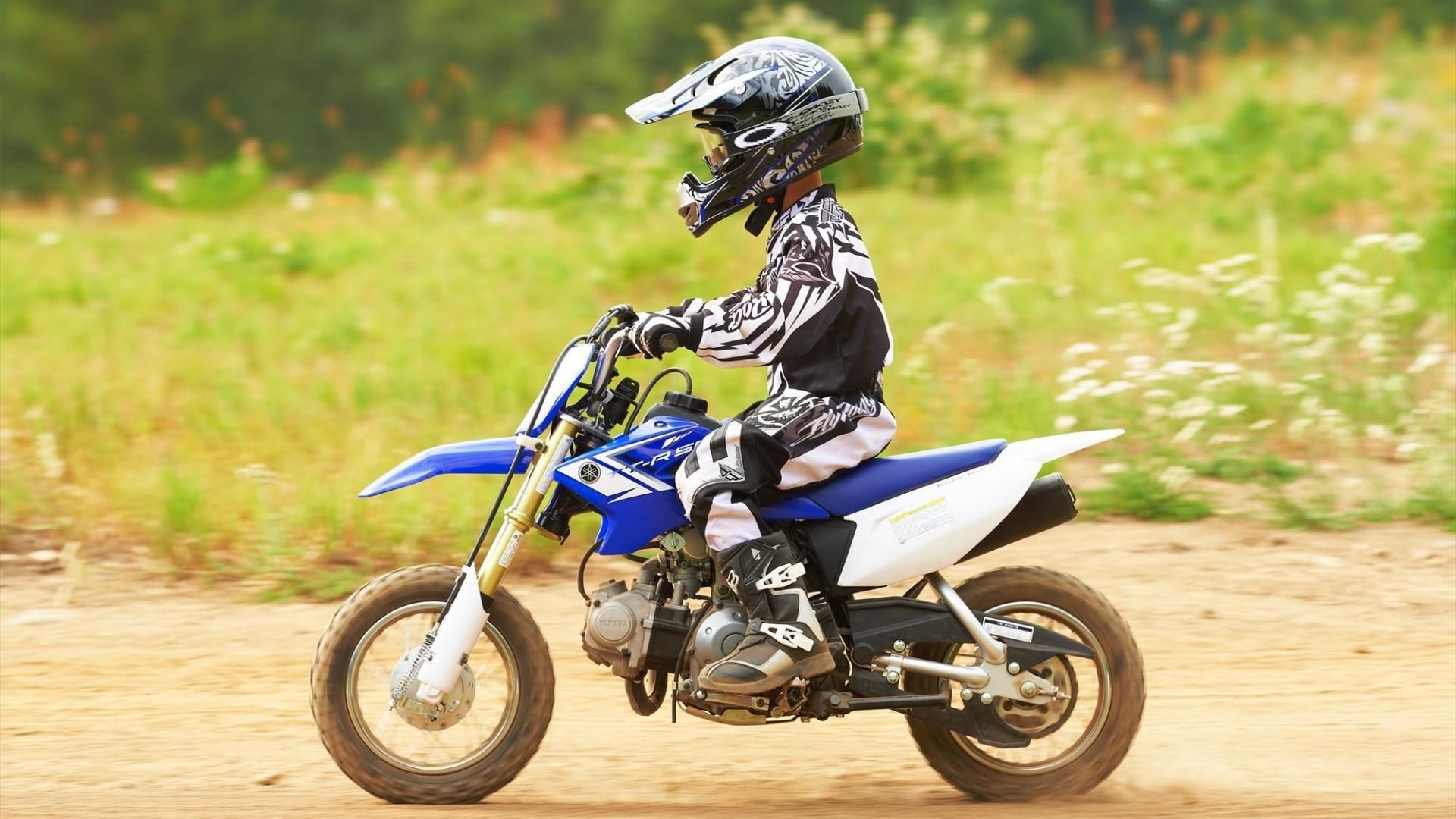 Vì Sao Bạn Nên Cho Con Mình Chơi Xe Cào Cào