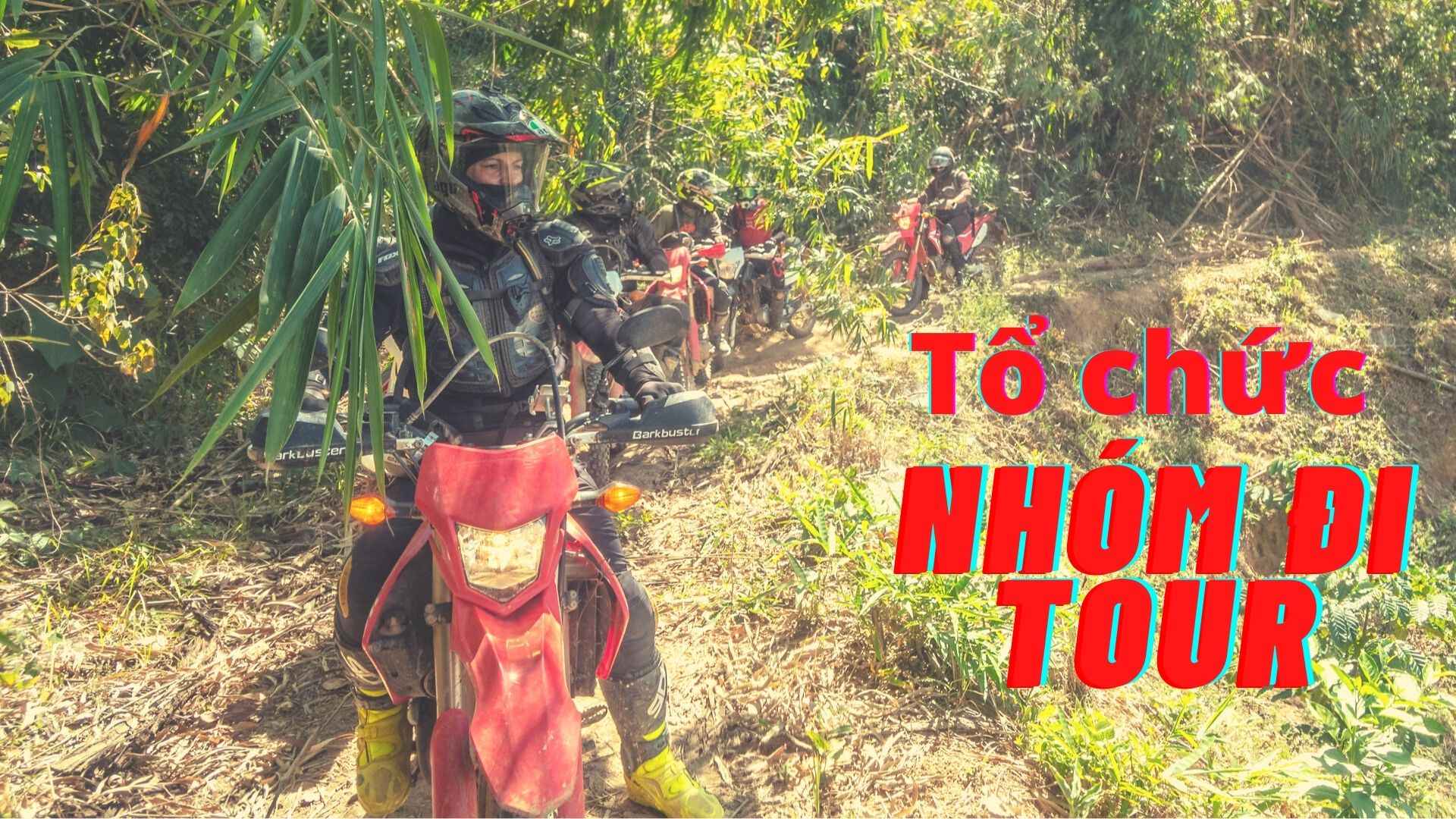 Tổ Chức Và Quản Lý Nhóm Đi Tour Cào Cào