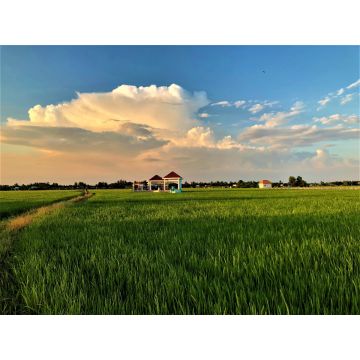 2-3 day Mekong Motorbike Adventure